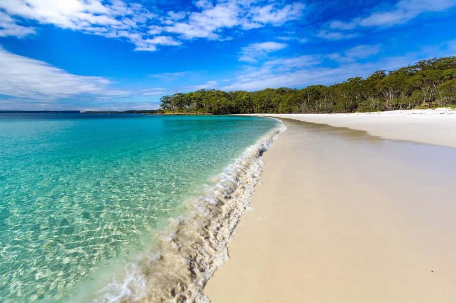 Sydney: Jervis Bay Day Trip with Dolphins, Roos & Beach Time - Rain, surf, and when swimming might not happen