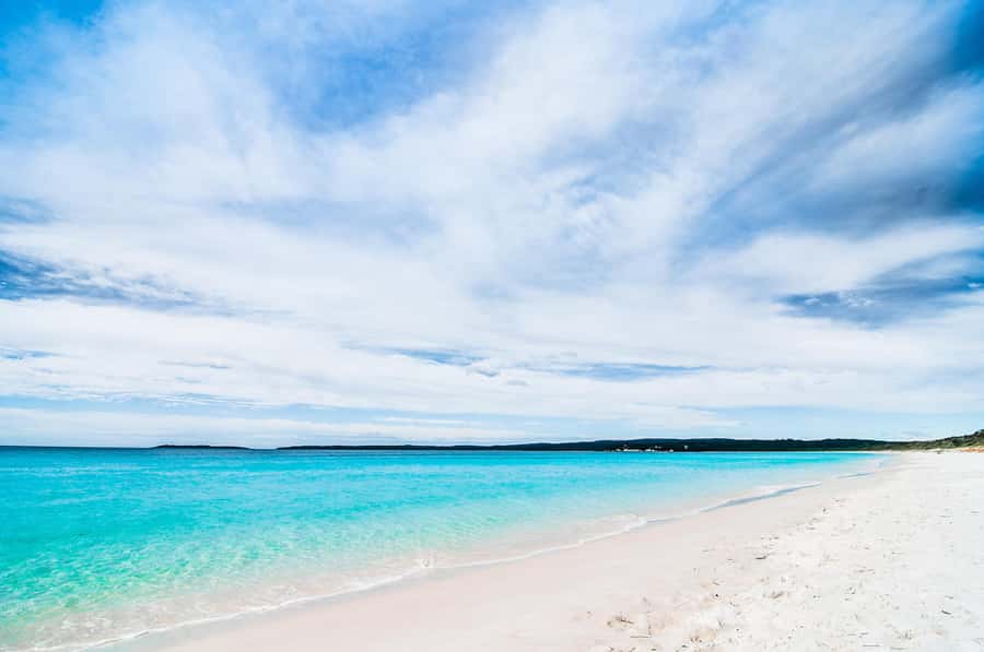 Sydney: Jervis Bay Day Trip with Dolphins, Roos & Beach Time - Price and value: what you’re really paying for at $120