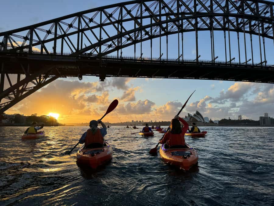 Sydney: Sunrise Kayak, Opera House & Under Harbour Bridge - What the full 2-hour schedule feels like
