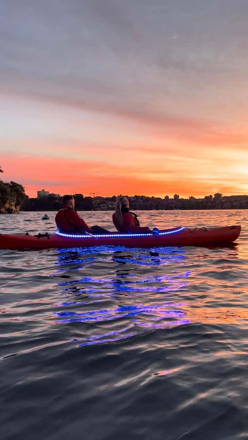 Sydney: Sunrise Kayak, Opera House & Under Harbour Bridge - Price and value: is $126 fair for Sydney Harbour?