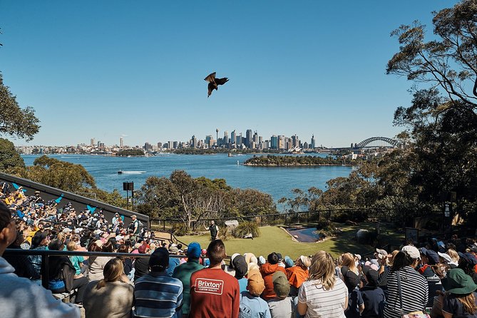 Sydney Taronga Zoo General Entry Ticket - Getting Tickets and Avoiding Day-Of Ticket Headaches