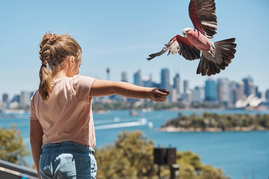 Sydney: Taronga Zoo Ticket with Return Ferry - Your Taronga Zoo Visit: A Self-Guided Day on a Hilly Site
