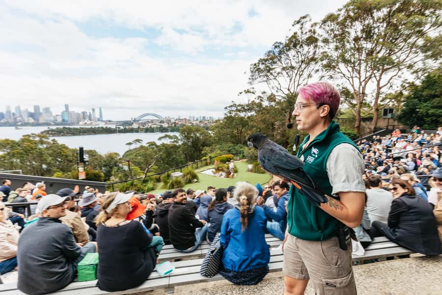 Sydney: Taronga Zoo Tickets - First Stop: Getting to Taronga Zoo without Overthinking It