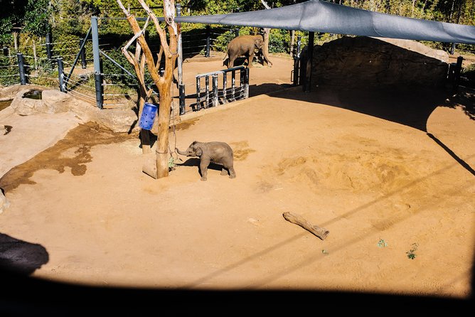 Sydney Taronga Zoo Wild Australia Experience - Australian Nocturnal House: night-shift animals in restricted areas