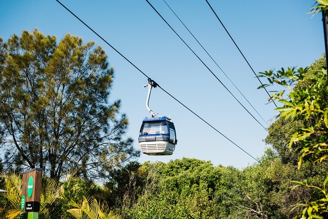 Sydney Taronga Zoo Wild Australia Experience - Price and value: what you’re really paying for