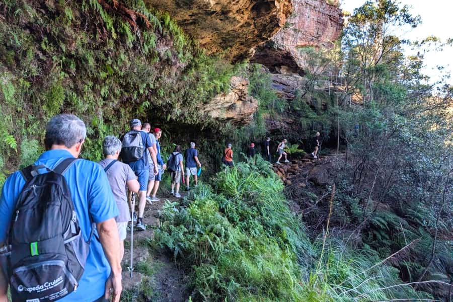 Sydney: Waterfall Bushwalk and Blue Mountain Sunset Day Trip - Wentworth Falls: the hike that makes or breaks the experience