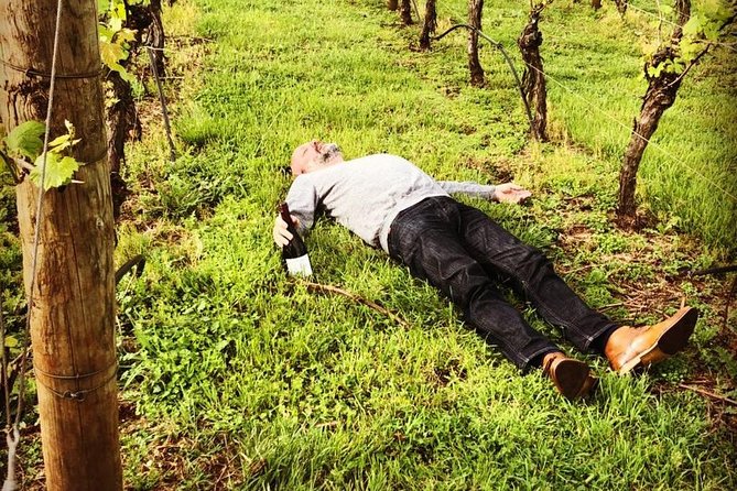Tamar Valley Wine Tour with Lunch - 3 to 4 cellar doors: boutique tastings without the panic