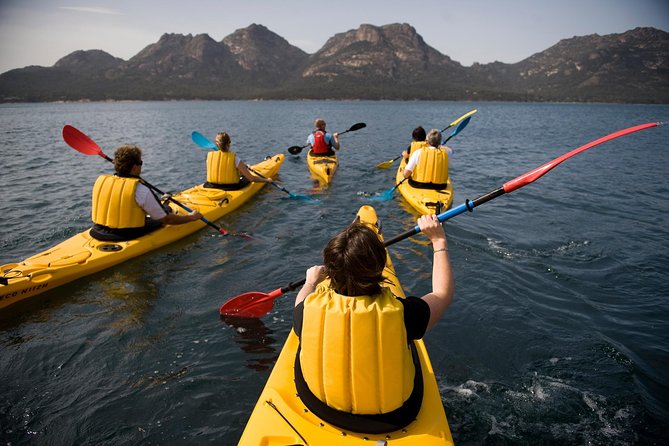 The Freycinet Paddle - How the Freycinet Paddle fits real life in Coles Bay