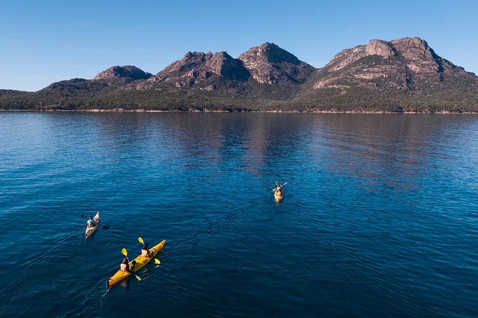 The Freycinet Paddle - Wildlife spotting: seals, dolphins, and more from the waterline