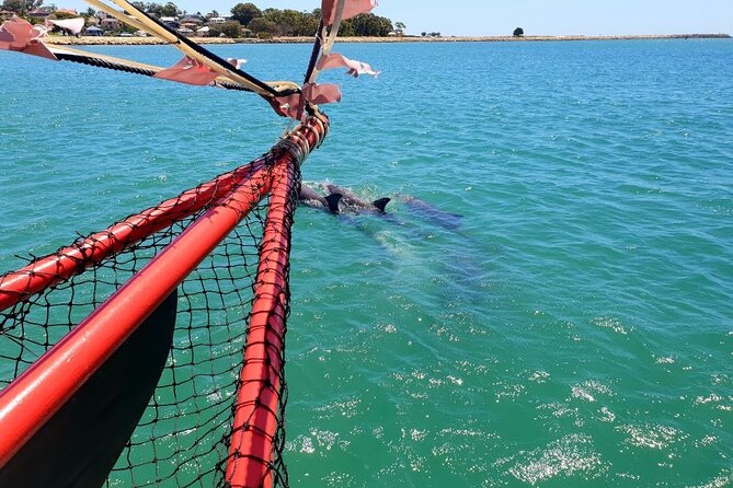 The Pirate Cruise in Mandurah on Viator - Mandurah Canals by Pirate Ship: What the Experience Is Really Like