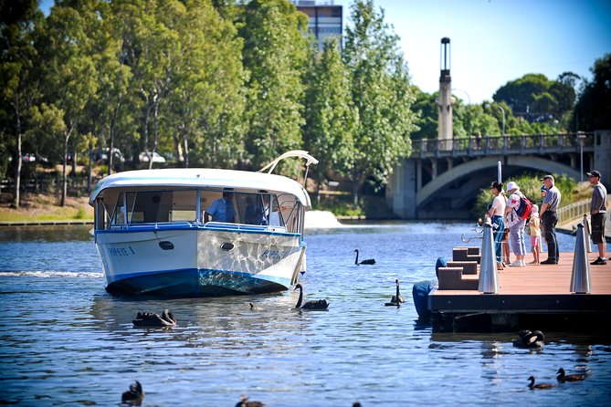 Torrens River Cruise in Adelaide - Zoo Treetops, Orangutans, and Gibbons: When Adelaide Gets Unexpected
