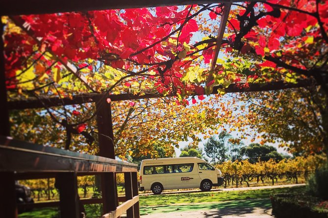 Ultimate Swan Valley Food and Wine Day Trip from Perth - Who should book this Swan Valley food and wine trip?