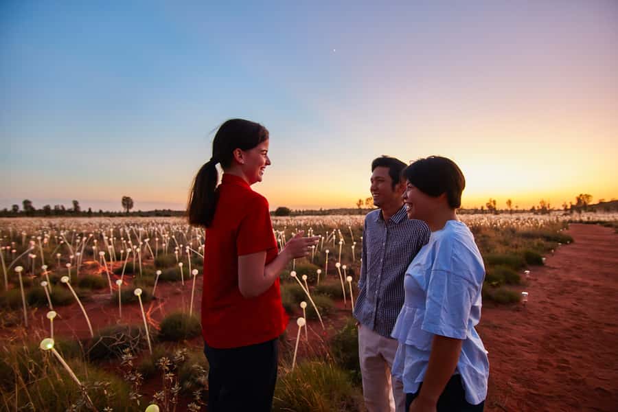 Uluru: Field of Light Sunrise Tour with Hot Drinks - Key things to know before you go