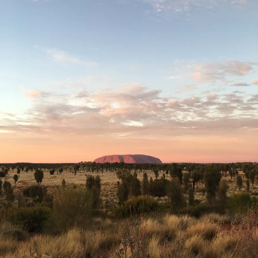 Uluru: Field of Light Sunrise Tour with Hot Drinks - Sunrise plus a glow-field: why this tour hits hard