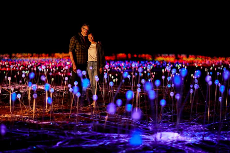 Uluru: Field of Light Sunrise Tour with Hot Drinks - Field of Light in the dark: what the walk is really like