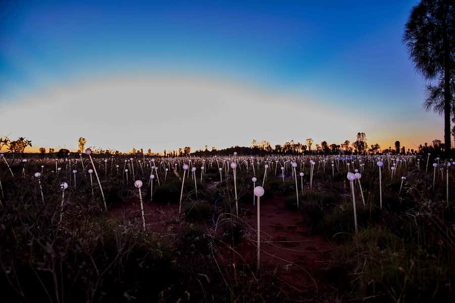 Uluru: Field of Light Sunrise Tour with Hot Drinks - Dune Top viewing and hot drinks: the comfort moment that matters