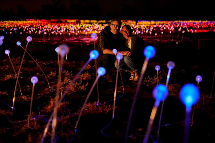 Uluru: Field of Light Sunrise Tour with Hot Drinks - Price and value: is $91 per person reasonable?