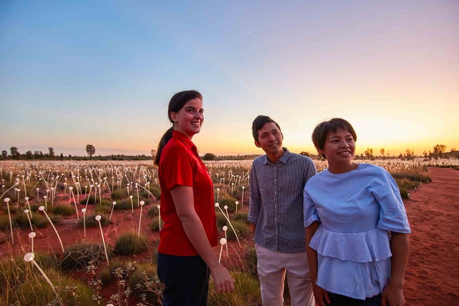 Uluru: Field of Light Sunrise Tour with Hot Drinks - The guide matters more than you think