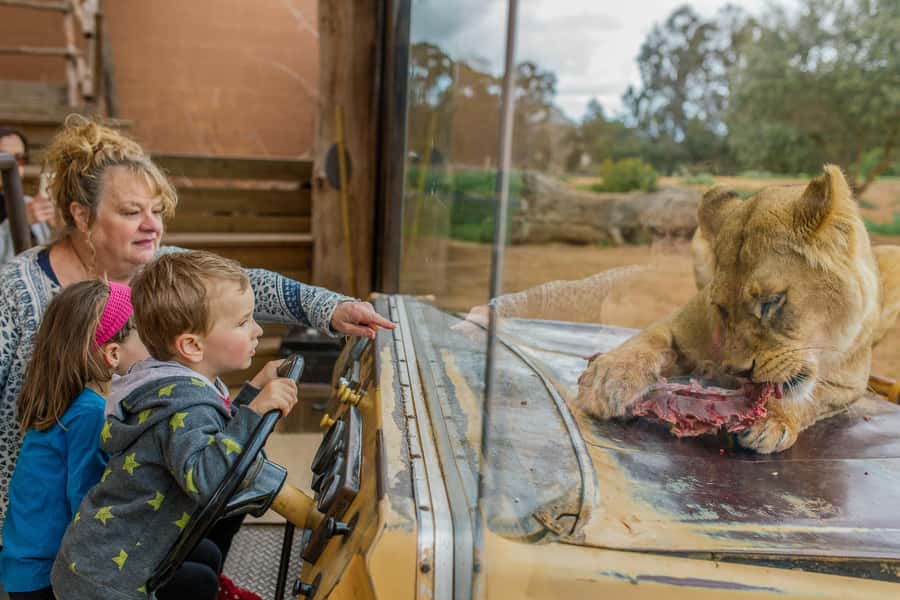 Werribee Open Range Zoo: Entry Ticket - Getting there from Melbourne: train plus bus is the easiest win