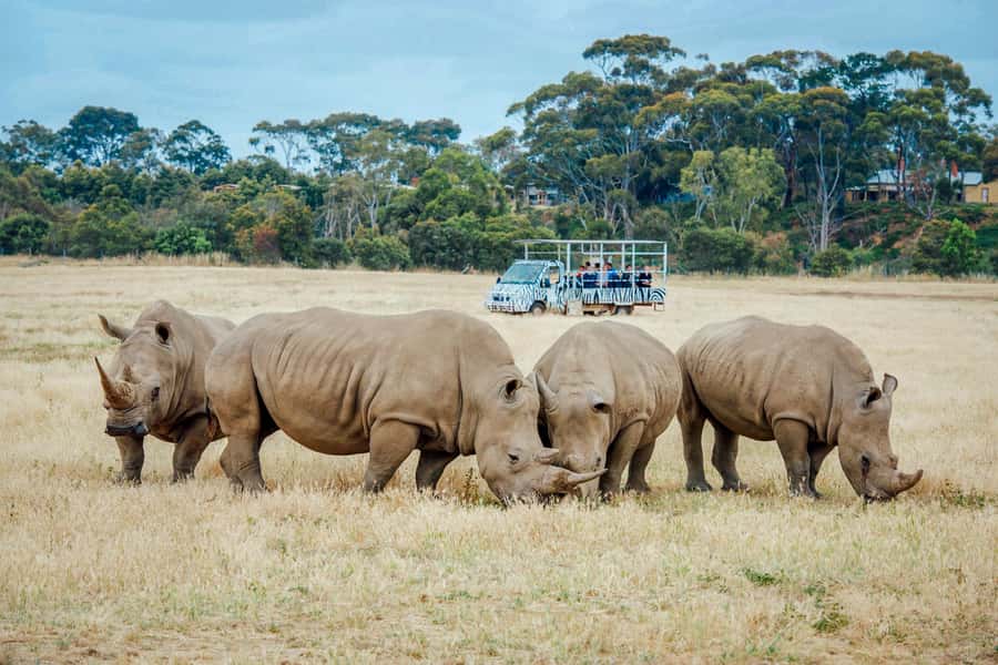 Werribee Open Range Zoo: Entry Ticket - Price and value: getting a full day for about $37