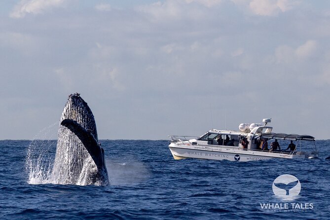 Whale Watching Boat Trip in Sydney - The Harbour view phase: more than a scenic warm-up