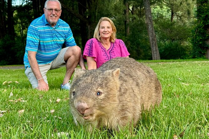 WILD Wombat and Kangaroo Day Tour, All Inclusive - Key things I’d circle before you go