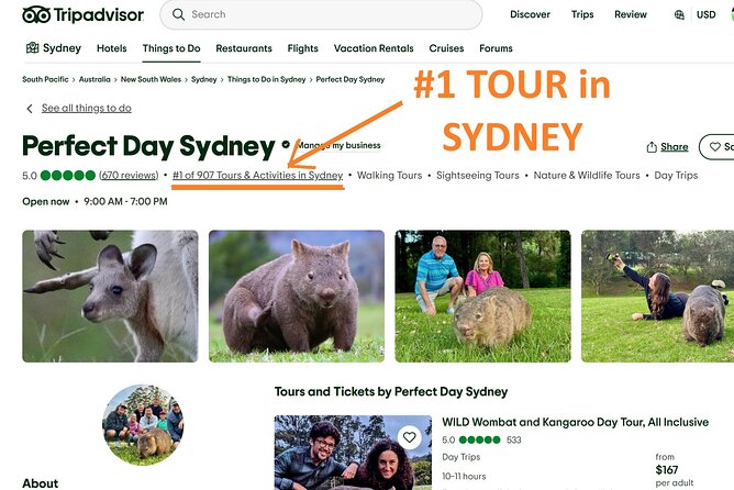 WILD Wombat and Kangaroo Day Tour, All Inclusive - A Small-Bus Sydney Escape With a Wildlife-First Plan
