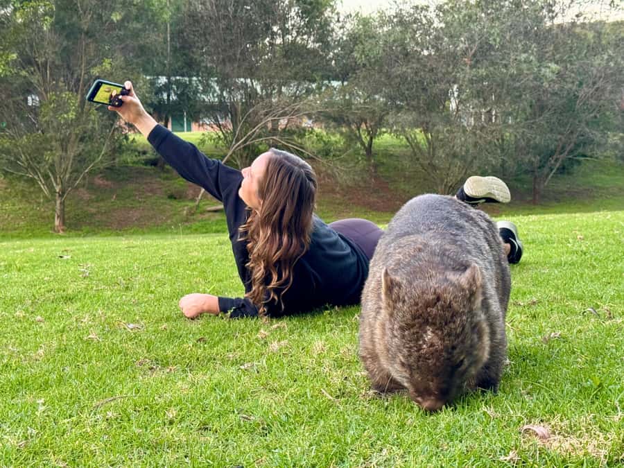 WILD Wombats and Kangaroo Experience, All Inclusive, Sydney - Price and Value: What You Really Get for $176