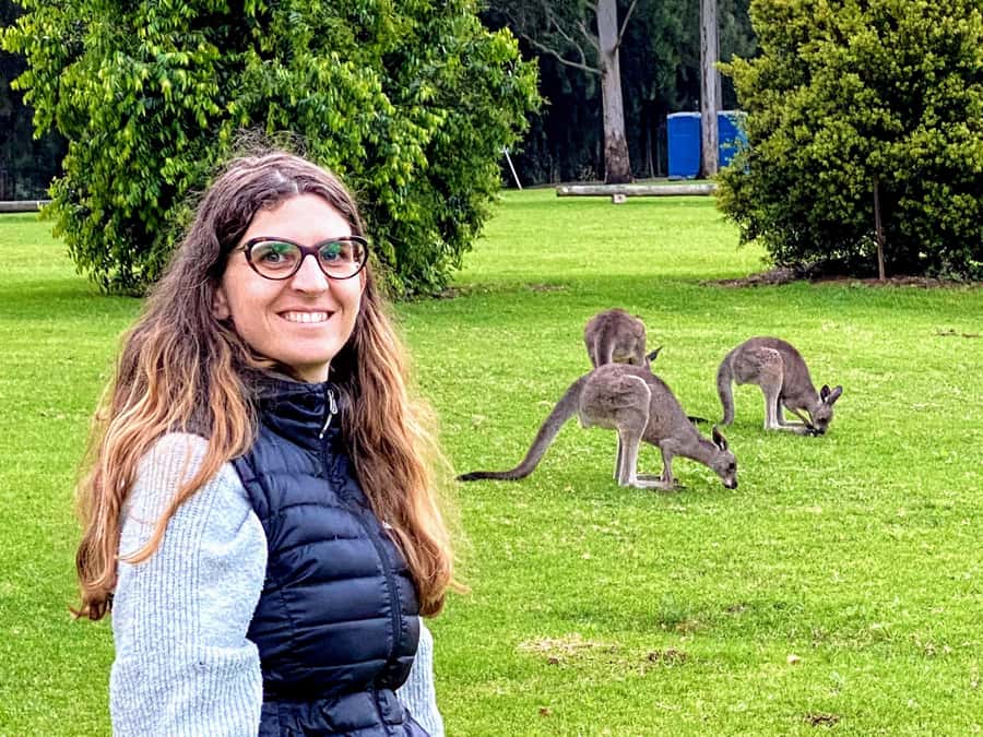 WILD Wombats and Kangaroo Experience, All Inclusive, Sydney - Macquarie Pass National Park: First Views and Wildlife-Spotting Rhythm