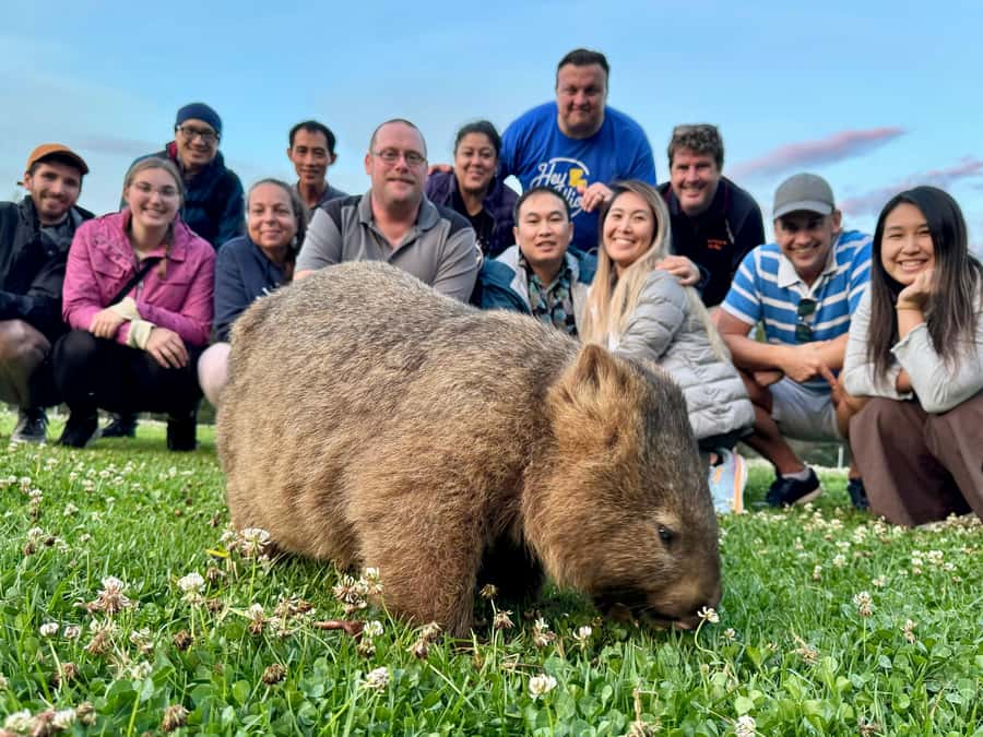 WILD Wombats and Kangaroo Experience, All Inclusive, Sydney - Robertson Pie Shop Lunch: A Reliable Aussie Reset (Seasonal Inclusion)