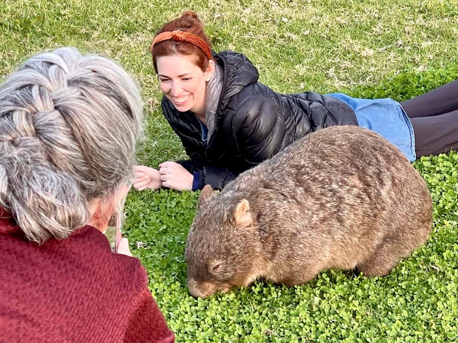 WILD Wombats and Kangaroo Experience, All Inclusive, Sydney - Budderoo National Park: Walk Time, Beer, and the Chance for More Species