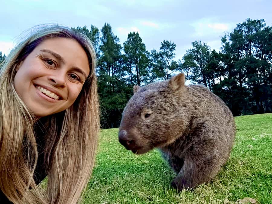 WILD Wombats and Kangaroo Experience, All Inclusive, Sydney - Wombats and Kangaroos: Up Close Without the Usual Barriers