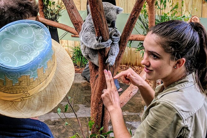 Wildlife, Waterfalls and Wine Day Tour from Sydney - Key things to know before you go