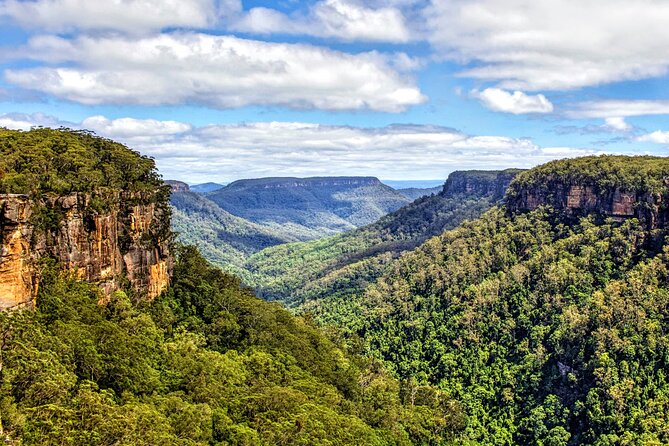 Wildlife, Waterfalls and Wine Day Tour from Sydney - How the long day actually works (and why the group size matters)