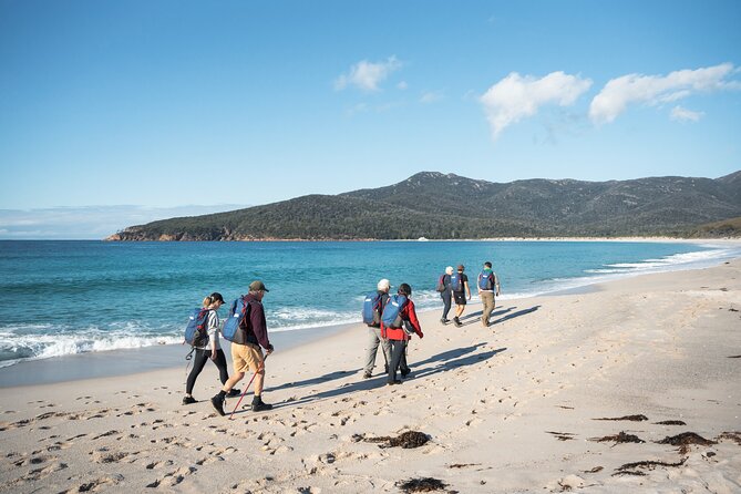 Wineglass Bay Cruise from Coles Bay - Price and Value: Is $129.10 Worth It?