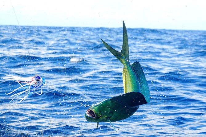 1/2 Day 5 Hour Offshore Fishing Charter - Comfort on the water: why this is usually easygoing, and when it won’t be