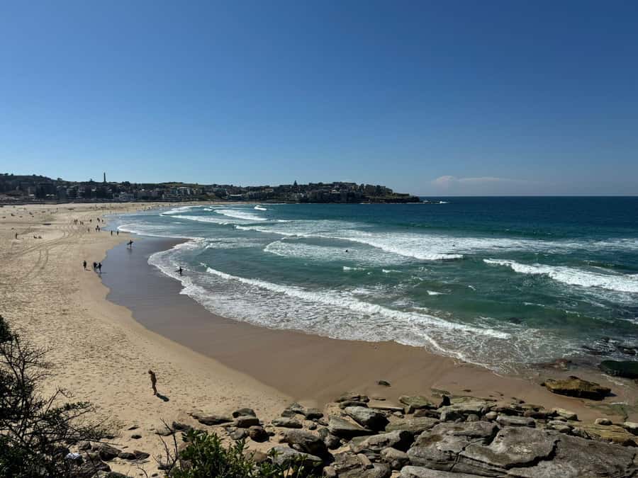 1/2 day Sydney Sightseeing and Bondi Beach Tour - Centennial Park, Paddington, and the Route That Shows More Than Downtown