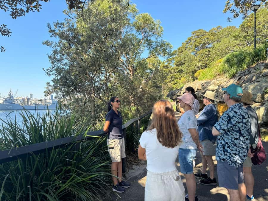 1/2 day Sydney Sightseeing and Bondi Beach Tour - Pace, Group Size, and the One Logistical Quirk to Watch For