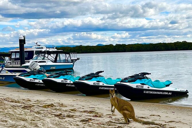 1.5 hr Jet Ski Safari tour to South Stradbroke Island! - Timing and weather: the small choices that protect your day