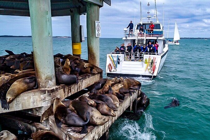 1.5hour Scenic and Wildlife luxury cruise - Key Things I’d Remember Before You Go