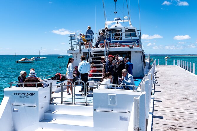 1.5hour Scenic and Wildlife luxury cruise - What comfort and boat design mean for your day