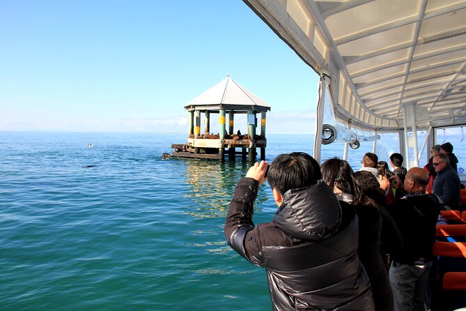 1.5hour Scenic and Wildlife luxury cruise - Who should book this cruise, and who might feel disappointed