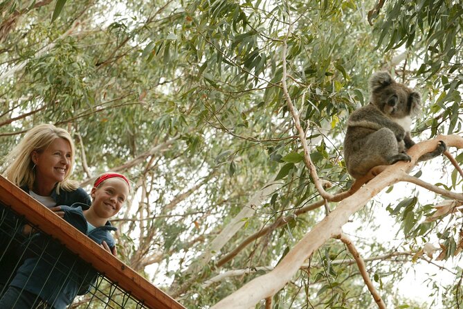 1 Day Exclusively Private Tour Of Phillip Island & The Penguin Parade - Optional extras: choose what fits your interests and time