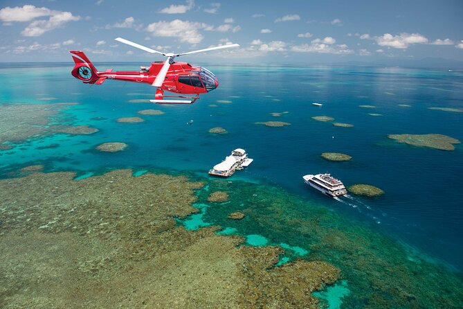 1 Day Great Barrier Reef Cruise and 10 Minute Helicopter Flight - Outer Reef in One Day: What Makes This Cruise Worth the Money