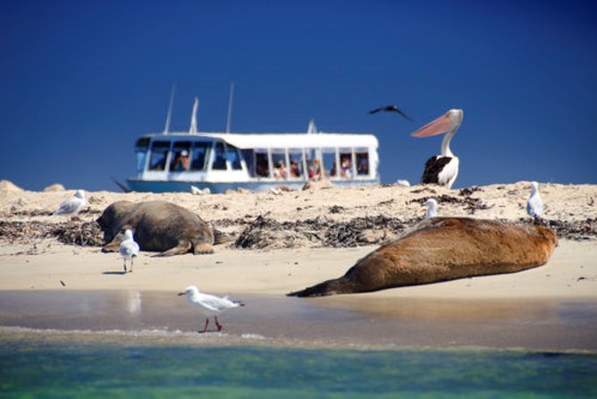 1 Day Margaret River Sightseeing Tour from Perth - Cape Lavender Tea House: Lavender Ice Cream and Air That Smells Like a Plan
