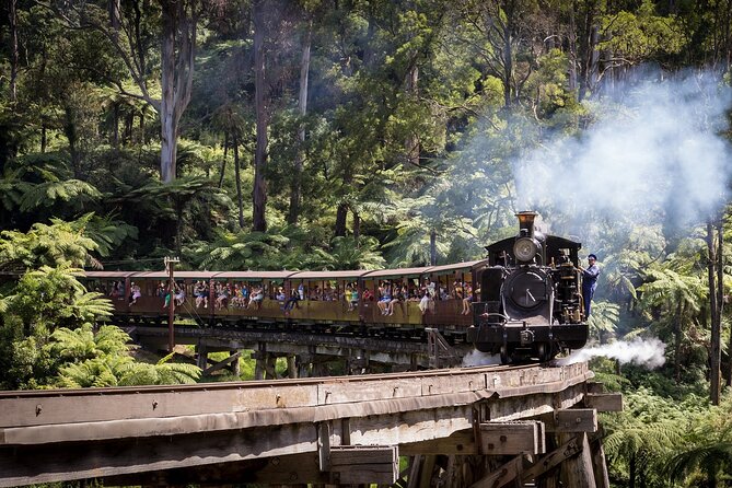 1 day Puffing Billy Steam Train and Wildlife Tour from Melbourne - Dandenong Ranges time: Grants Picnic Ground in Sherbrooke Forest
