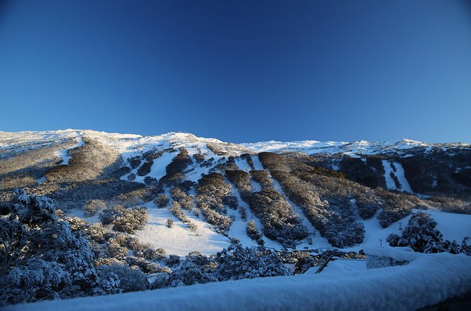 1 Day Thredbo Snow Tour - The overnight coach ride: what makes it worth it