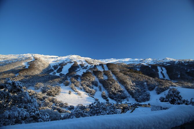1 Day Thredbo Snow Tour - Thredbo Village and your 7 hours of freedom on snow