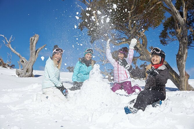 1 Day Thredbo Snow Tour From Sydney - Your snow day: ski, snowboard, or Toboggan (and what’s not included)
