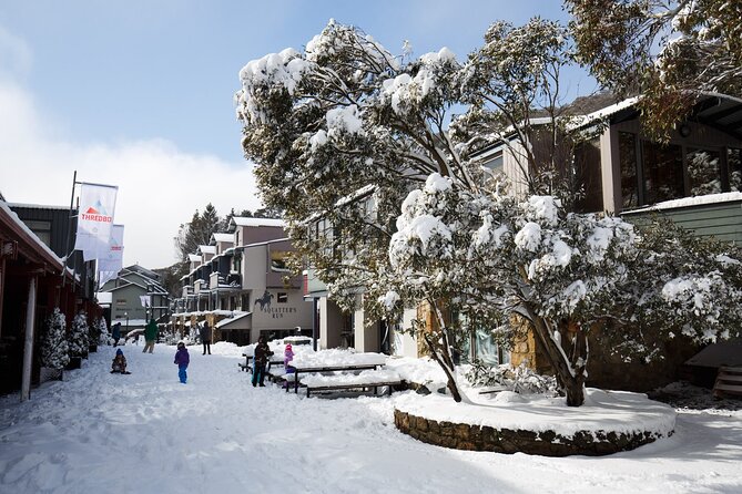 1 Day Thredbo Snow Tour From Sydney - The 15:00 departure from Thredbo: don’t waste your first runs